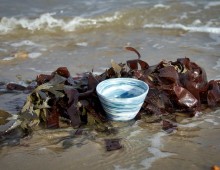 Ceramic Bowls