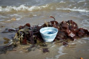 Ceramic Bowls